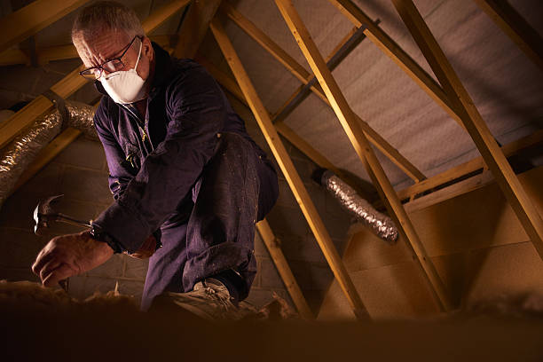 Types of Insulation We Offer in Paden City, WV
